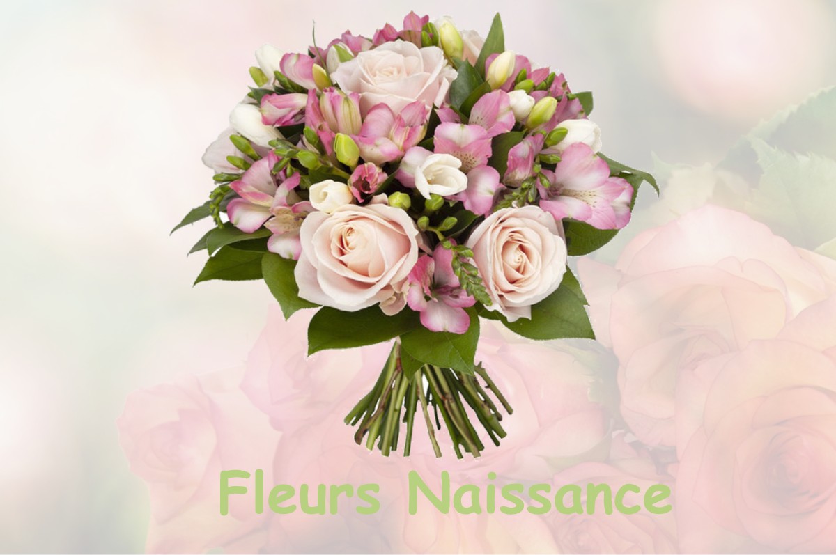 fleurs naissance SAINT-GONDON